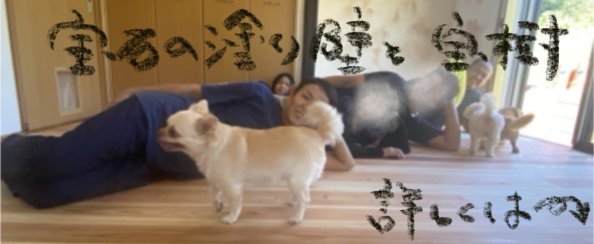壁と天井、床